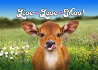 Live Love Moo Fine Art Print
