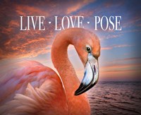 Live Love Pose Fine Art Print