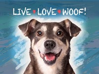 Live Love Woof Fine Art Print