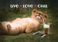 Live Love Chill Fine Art Print