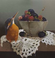 Kingfisher Fine Art Print