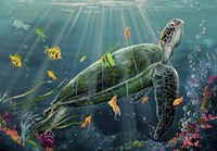 Reef Turtle Fine Art Print