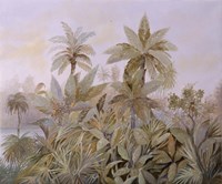 Palme a Naso Fine Art Print