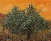Un'altro Ulivo Fine Art Print
