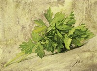 Prezzemolo Fine Art Print