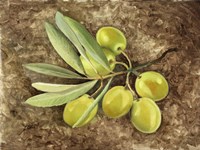 Olive Fine Art Print