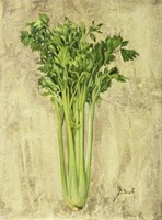 Sedano Fine Art Print