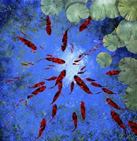 Acqua Blu e Pesci Rossi Fine Art Print