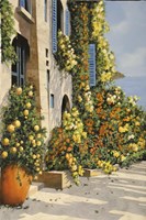 Canarinodue Fine Art Print