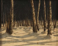 Neve Di Notte Nel Bosco Fine Art Print