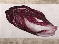 Trevigiana Fine Art Print