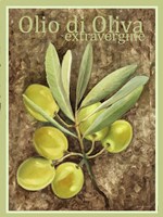 Olio Di Oliva Extravergine Fine Art Print