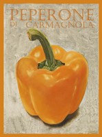 Peperone Di Carmagnola Fine Art Print