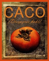 Diospyros Kaki Fine Art Print