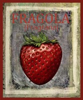 Fragola Fragraria Fine Art Print