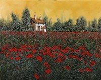 Papaveri E Prato Bottiglia Fine Art Print