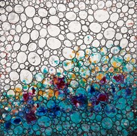 Dimension 33 Fine Art Print