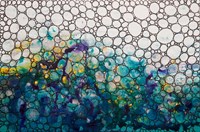 Dimension 40 Fine Art Print