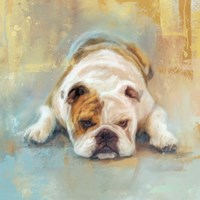 Bulldog With The Blues Fine Art Print