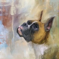 Flashy Fawn Boxer Fine Art Print