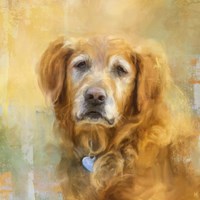 Golden Years Fine Art Print