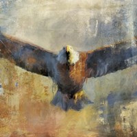 Overhead Fine Art Print