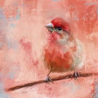 Rosey Cheeks Fine Art Print