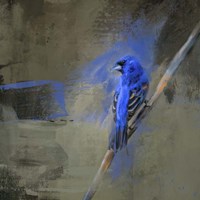 Royal One Fine Art Print