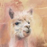 The Charismatic Alpaca Fine Art Print