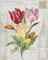 Bouquet Francais E Fine Art Print