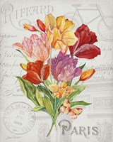 Bouquet Francais F Framed Print