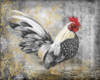 Gold Lace Rooster A Framed Print