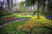Colorful Corner Keukenhof Tulips Garden 4 Fine Art Print