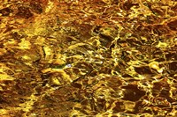 Golden Water Abstract Fine Art Print