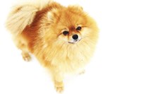 I am Here Fine Art Print