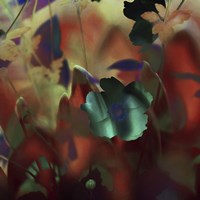 Moonlight Waltz of Flowers Fine Art Print