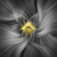 Mystery of Colors Silver And Gold Fine Art Print