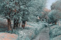 The Time Goes By Framed Print