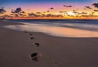 Footsteps At Sunrise Fine Art Print