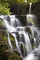 Smoky Mountains Waterfall Fine Art Print