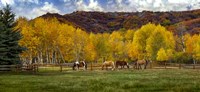 Colorado Farm Fine Art Print