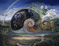 Nautilus Fine Art Print