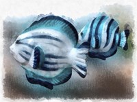 A Pair Of Angel Fish Fine Art Print