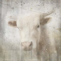 Antique Farm 07 Fine Art Print