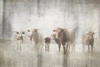 Antique Farm 12 Fine Art Print