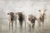 Antique Farm 13 Fine Art Print