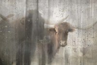 Antique Farm 15 Fine Art Print