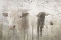 Antique Farm 17 Fine Art Print