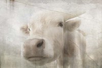 Antique Farm 18 Fine Art Print