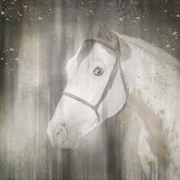 Antique Farm 29 Fine Art Print